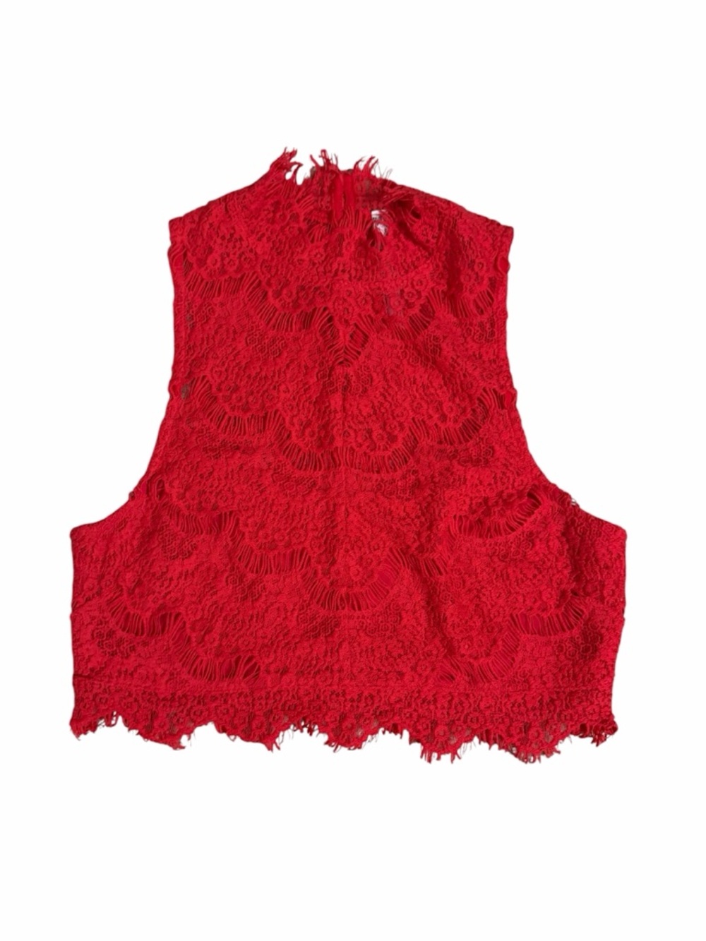 Red Lace High-Neck Crop Tank Top